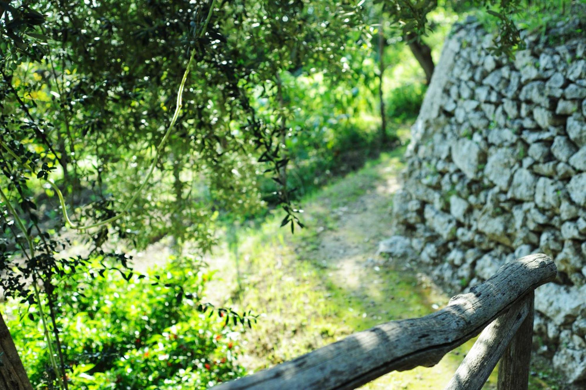 Villa Rina Amalfi Exteriér fotografie